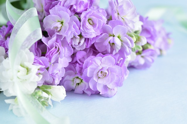 紫の生花