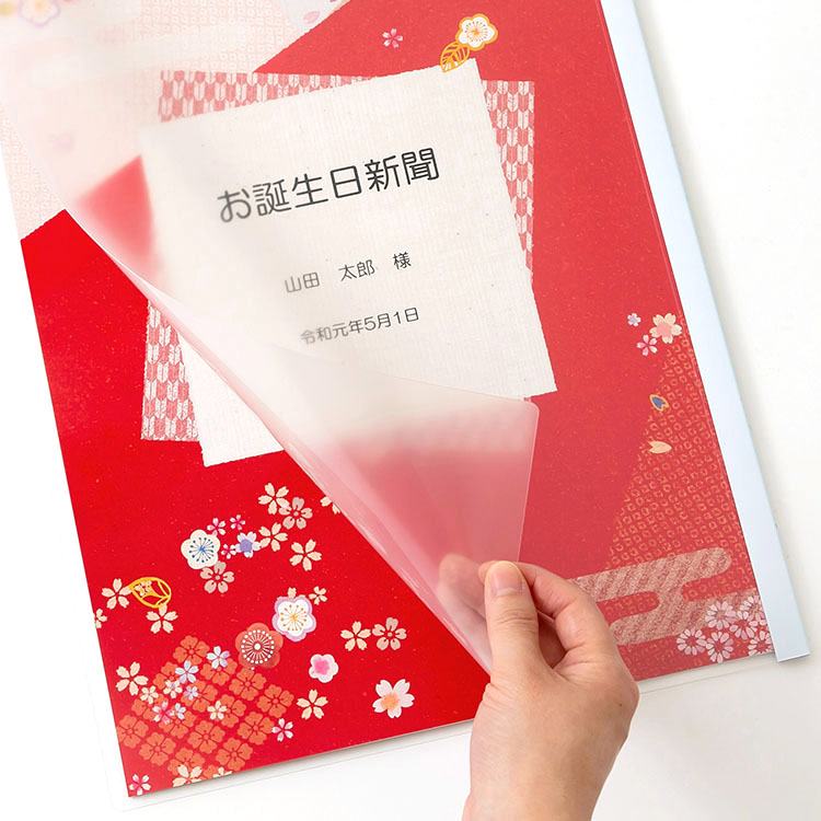 【銀婚式祝い】表紙セット 5年ごとの結婚記念日の新聞 5枚(結婚記念日、5周年・・・20周年) レール付きクリアフォルダタイプ3